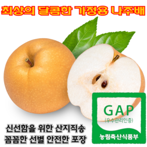 GAP 인증 산지직송 가정용 나주 배 신고배 우리배 햇배