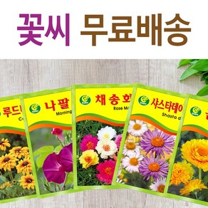 꽃씨 야생화 키우기 소포장 21종 다년생 봄 파종 채송화 봉선화 해바라기, 꽃씨-공작초, 1개