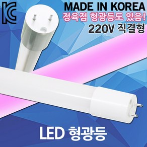 LED 형광등 직관등 직결램프 직관램프 L광등 일자등 정육점 화훼용 조명 LED형광등 AC 220V 직결형 빨간등 LED형광등 LED직관등 LED직관램프 600 900 1200, 01. LED형광등 600 3000K, 1개