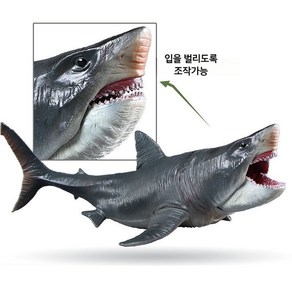 도다인몰 대형 메가로돈 고대 해양 상어 피규어, 1개