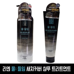 리엔 물:들임 새치커버 샴푸 트리트먼트 택일, 450ml, 1개