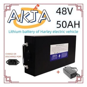 용량 팩 18650 배터리 전원 48V 신제품 250-2000W 빠른 적합 리튬 공기 전체 운송 20ah-100ah