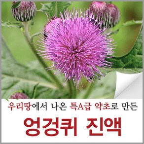 신토불이약초 엉겅퀴 진액 즙 액기스 원액 90ml 60포, 5.4L, 1개