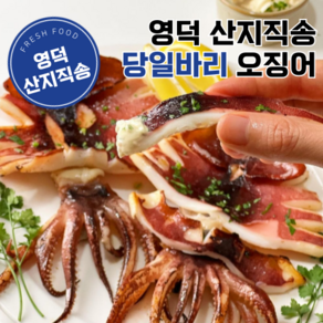 [산지직송] 탁월한식탁 국산 영덕 반건조 피데기 오징어, 1개, 소소(700g) 10미