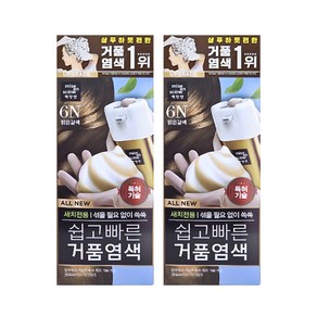 미쟝센 쉽고 빠른 거품염색 6N 밝은갈색 2개팩