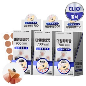 대일 빠삐방 700(10T) x 15개 붙이는 파스 동전패치, 10개입