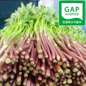 천연암반수로 재배된 깨끗한 청도 미나리, 2개, 500g