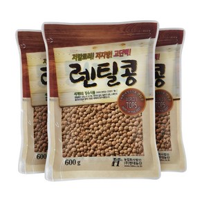 현대농산 갈색렌틸콩 1.8kg (600gx3봉) 렌즈콩, 3개