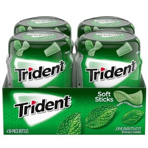 Tident Speamint Gum 트리덴트 스페어민트 슈가 설탕 프리 껌 각50x 4팩입, 200개