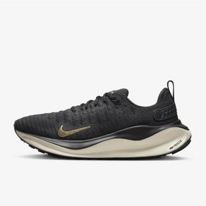 나이키 여성 런닝화 운동화 인피니티 런 4 DR2670 006 nike infinite un 4 여자