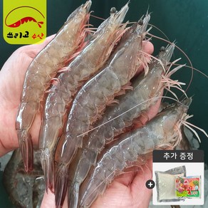 당일조업 국내산 급냉새우500g 1kg(24~28미) 쓰리고수산 (소금+초장)증정. 신안새우 활새우 왕새우 생새우 대하 흰다리새우