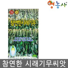 시래기무 씨앗종자 시래기 무씨 씨앗, 2000립, 1개