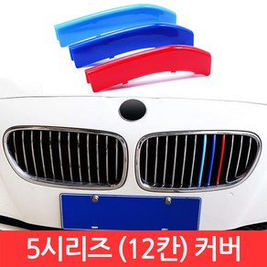 SIJIN BMW 5시리즈 M그릴 12칸 커버 F10 3색 클립 몰딩 528i 퍼포먼스 가니시 튜닝, 1개