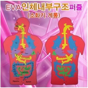 오피스안 EVA인체내부구조(소화기계통)퍼즐 ) HM-034, 단일 수량, 단일 수량