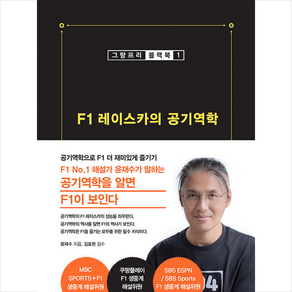 F1 레이스카의 공기역학 + 미니수첩 증정, 골든래빗(주)