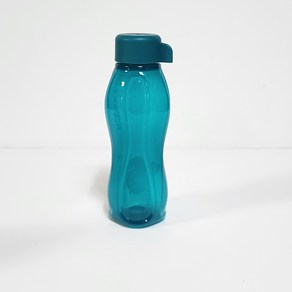 타파웨어 에코물통 310ml 1P (색상 선택), 1개, 청록