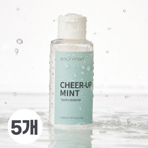 [치얼업 민트 양치소금] 잇몸케어 구취케어 초미립자 천일염 양치소금 먹어도 되는 구운소금, 5개, 100g
