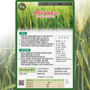 다농 보리 씨앗 1kg 보리 씨 밀 귀리 종자, 1개