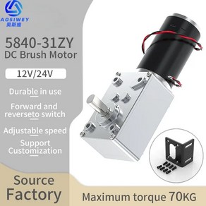 TORQUE MOTOR 웜 기어 DC 모터 속도 조절 가능 역방향 자동 잠금 높은 토크 더블 샤프트 5840-31ZY 12v24v 7RPM-470RPM, 8) 12V 80RPM - Backet Moto, 1개