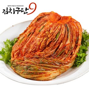 김치구단 국내산 100% 포기김치 김치 배추김치 2kg 3kg 5kg