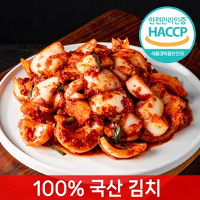 [전라도찐맛] 당일제조 양파김치, 1개, 1kg