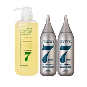 헤드스파7 비오틴 샴트리 샴푸 740g + 트리트먼트 더프리미엄 210ml 2개