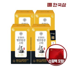 한국삼 정성담은 벌꿀 홍삼스틱 30포 x 4박스+쇼핑백, 4개, 300g