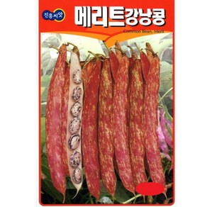 얼룩이강낭콩씨앗 600g 비덩쿨성강낭콩종자