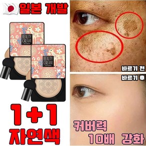 [당일 배송] 일본 1+1 톤업 미백 비비 쿠션 쌩얼 파운데이션 저분자 콜라겐 주름 개선 촉촉한 파워 커버력 좋은 쿠션