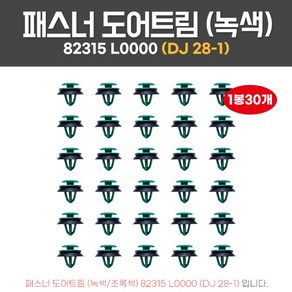 카박사 DJ28-1 패스너도어트림 1봉30개 테두리흡음재포함 초록색고무팩킹 DN8소나타 82315L0000