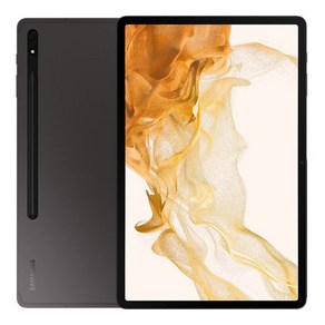 삼성전자 갤럭시탭 S8 플러스 SM-X800, 256GB, Wi-Fi+Cellular