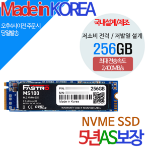 Fasto NVMe SSD, MS100, 256GB