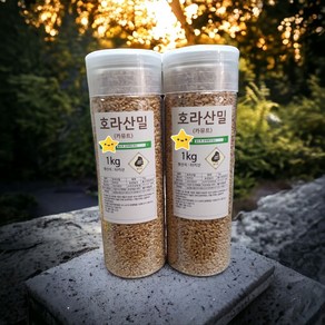 캐나다산 캬무트 호라산밀 잡곡통 포장 카뮤트, 2개