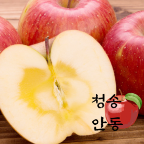 고당도 가정용 청송 꿀사과 안동 경북, 1세트, 2.5kg 가정용 혼합과
