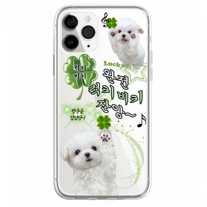 행운을 잡았당 말티즈 럭키 네잎클로버 강아지 투명 젤리 케이스