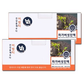 중저온추출 16시간 러시아 차가버섯 즙 진액, 100ml, 60개