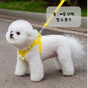 레이미데이 강아지 여름 하네스 매쉬 경량 조끼 리드줄 원터치 세트, 1세트, 스카이 구름