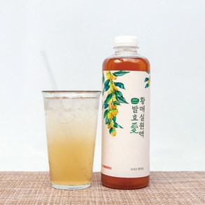 3년 숙성 지리산 발효애 매실청 900ml, 2개