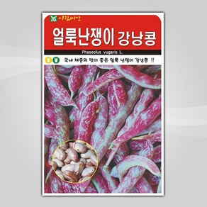 슬로시 열매 씨앗 종자 고추 가지 토마토 완두콩 녹두