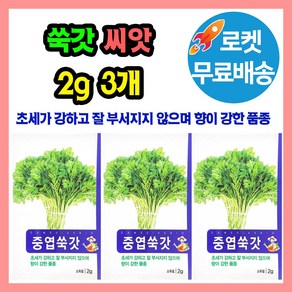 쑥갓 씨앗 (합 6g) 쌈채소 종자 씨, 3개