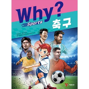 Why 스포츠 축구 초등 학습만화 시리즈 책