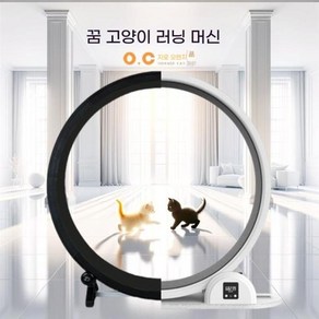 스마트 무소음 고양이 캣휠 캣워 캣타워 스마트 무소음 운동기구 애완동물 장난감 스크래쳐, 1개, 보증금 경매 전에 고객 서비스에 문의