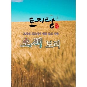 100%국내산 2024년 토지랑 오색보리 1kg, 2개