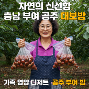[산지직송] 특상급 캠핑 캠핑디저트 공주알밤 부여밤 공주밤 햇밤 생밤 대보밤 마켓일곱시, 1박스, 1kg