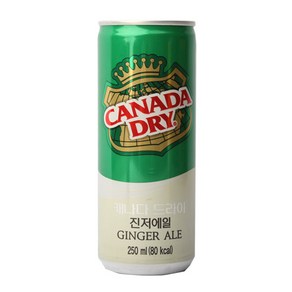 캐나다드라이 진저엘 캔 250ml 6개세트, 6개