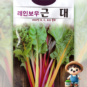 레인보우근대 100립 비타민 샐러드 재료 씨앗 종자