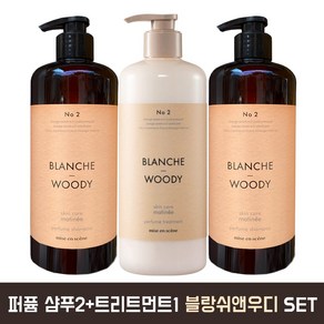 미쟝센 스킨케어 퍼퓸 샴푸 2개 + 트리트먼트 1개 (블랑쉬앤우디) 세트 각 900ml