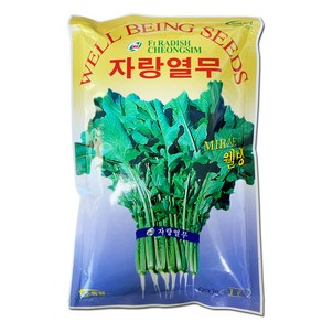 열무씨앗 자랑열무 600g 120평용 노지 하우스 겸용, 1개