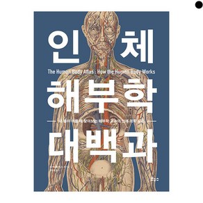 인체 해부학 대백과