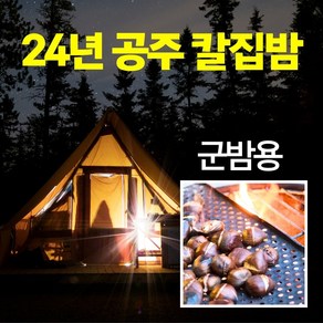 2024년 공주 군밤용 칼집밤 포르단밤 산지농협 직송, 4kg, 1박스, 칼집밤 4Kg [특대]